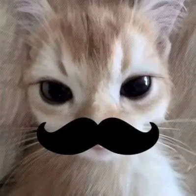 mera.lolz