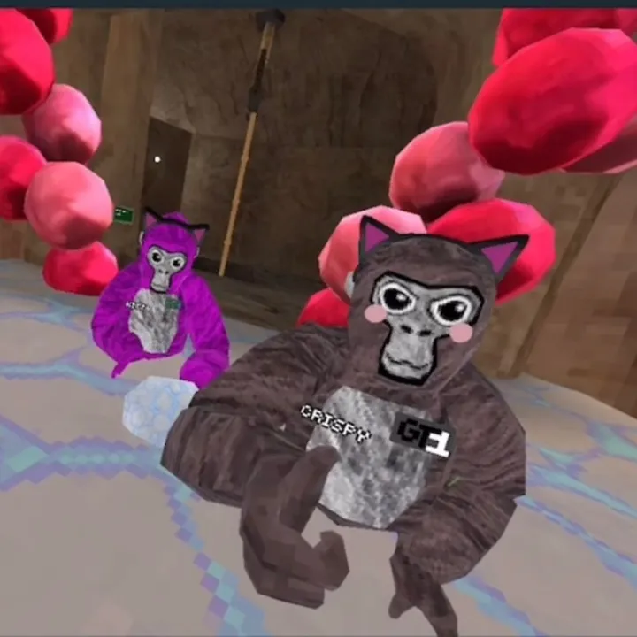 fan_kitty_lover