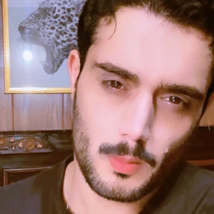 @aleearslan1