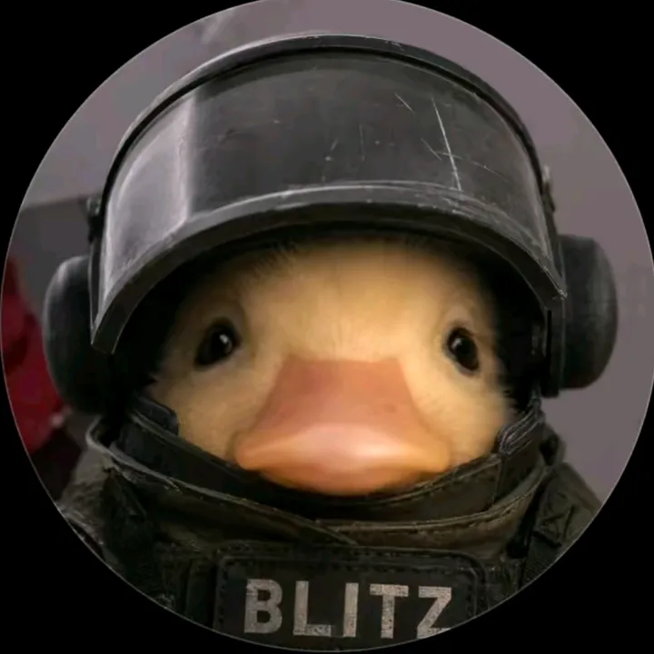 gekogamin303yt