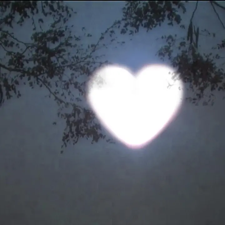 <3 - Nuts