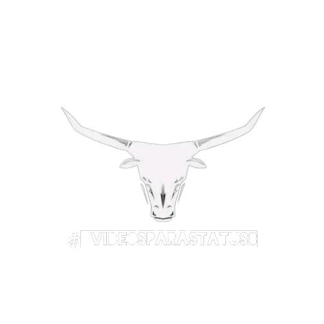 #_vídeosparastatus8 - suara asli