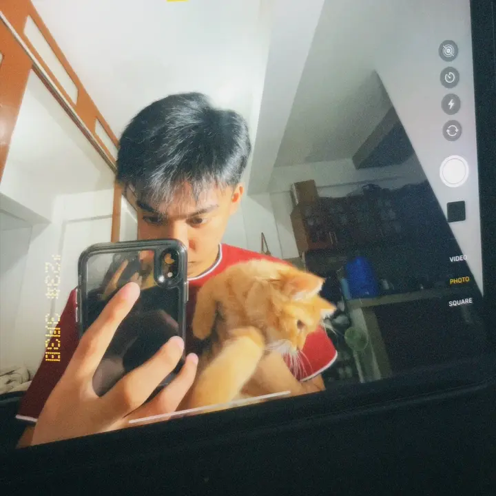 devs - suara asli