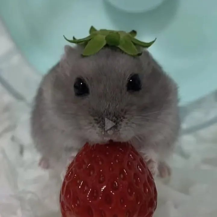 @blxvv