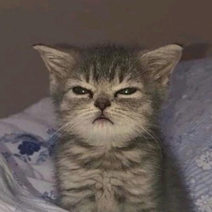 starkcom💤 - suara asli