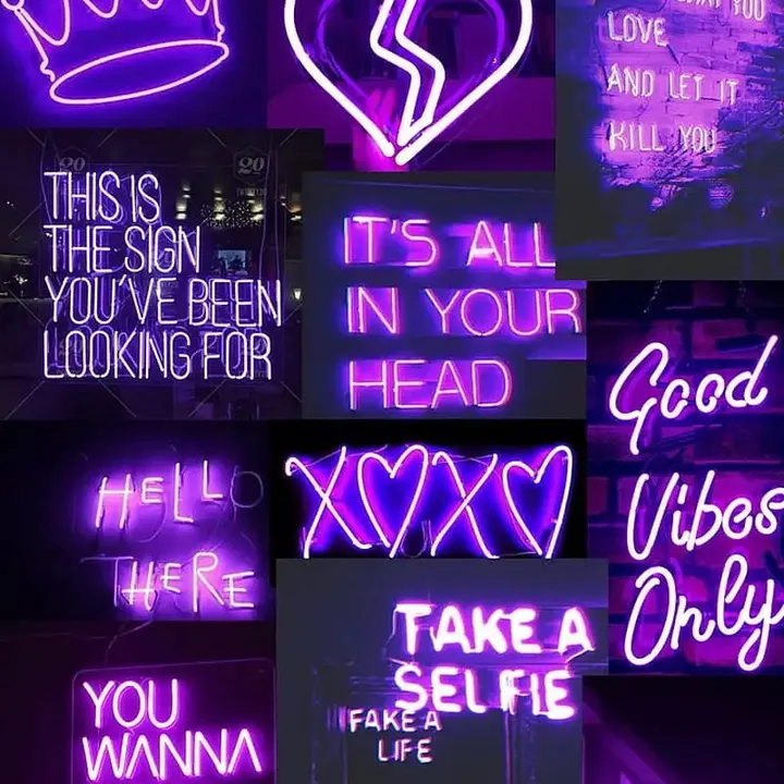 purplecat566