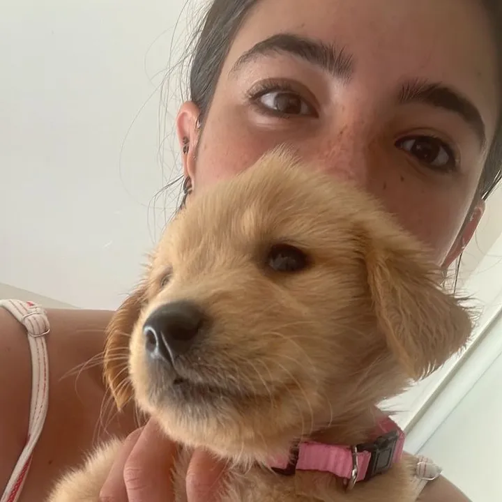 charlidamliey