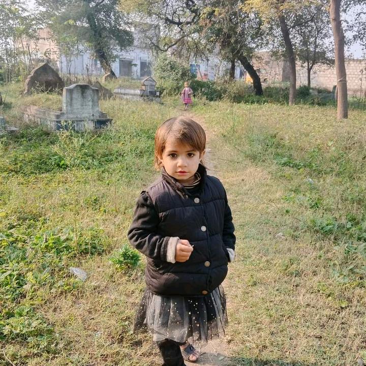 @sardarkhan8162