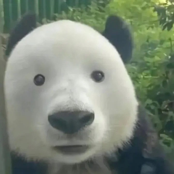 CY - oh