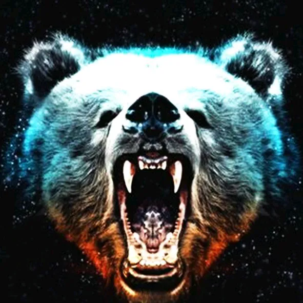 @sgtbear