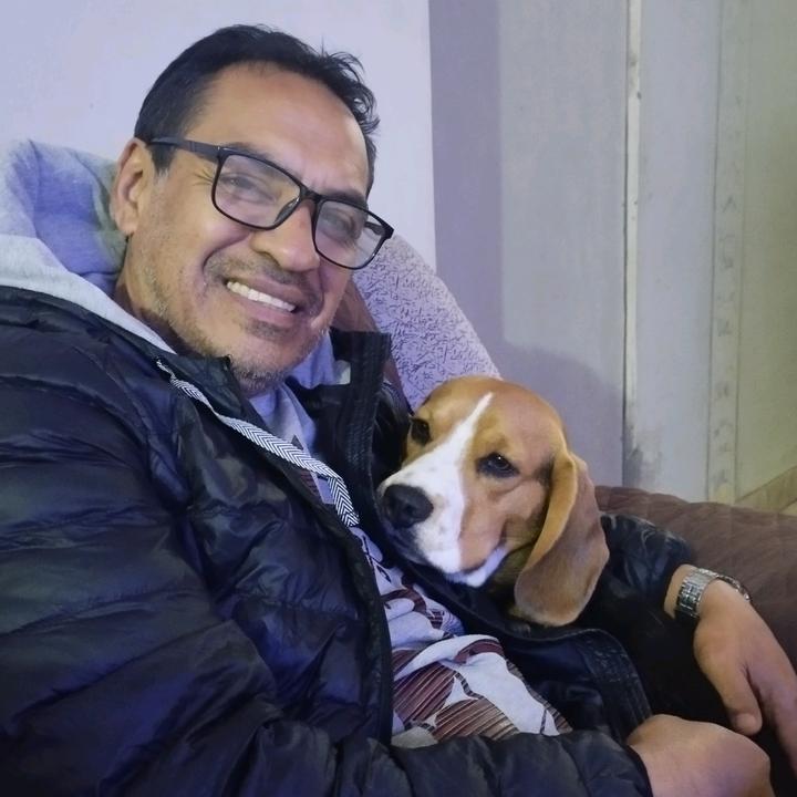 @yacomo24