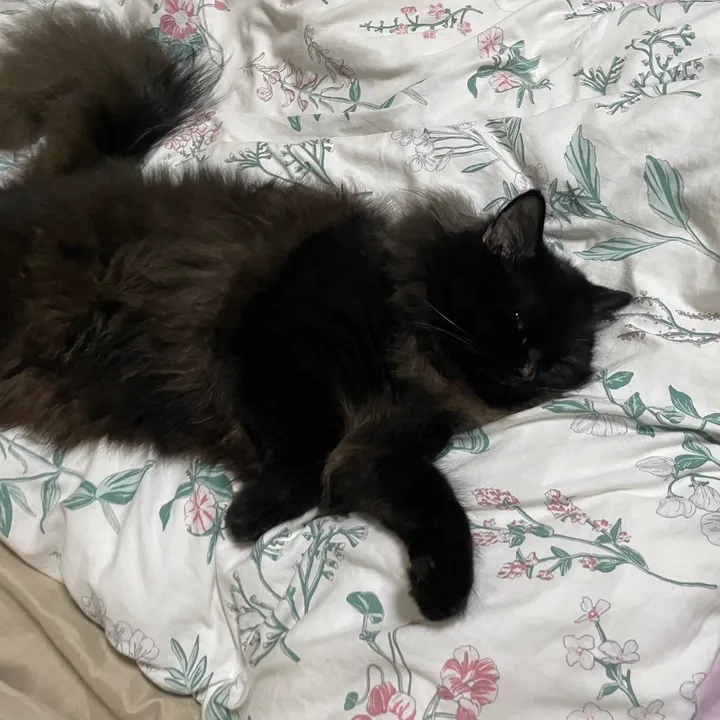 donotdisturb869