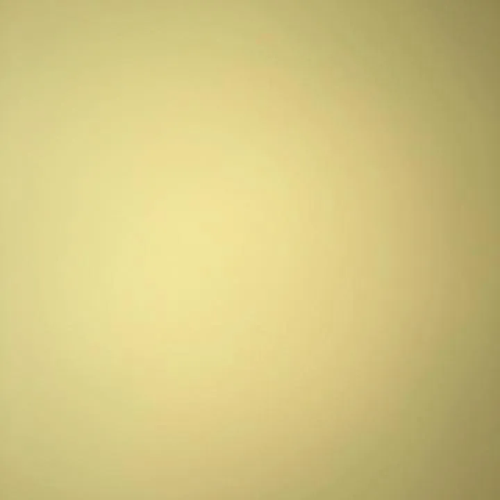 @nishelle7