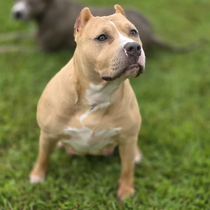 @hera_the_bully22