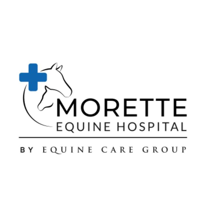 Dierenkliniek De Morette - suara asli