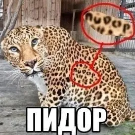 pashalko_69