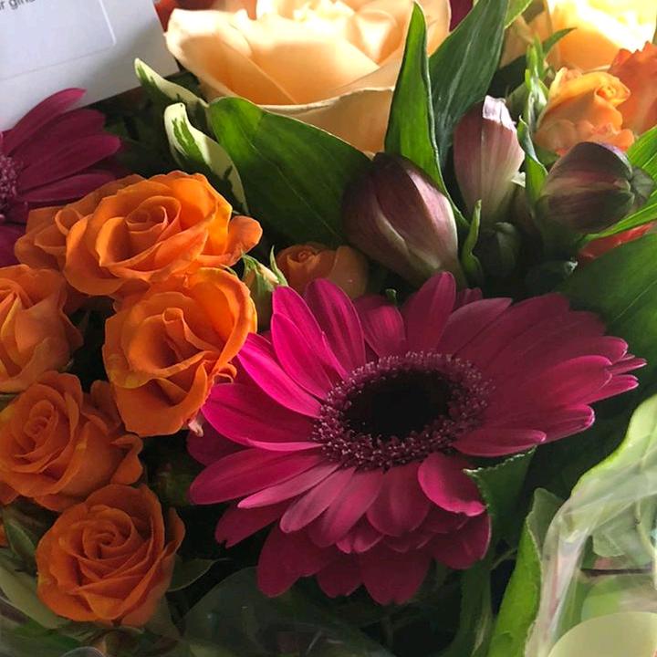 @bushraali869