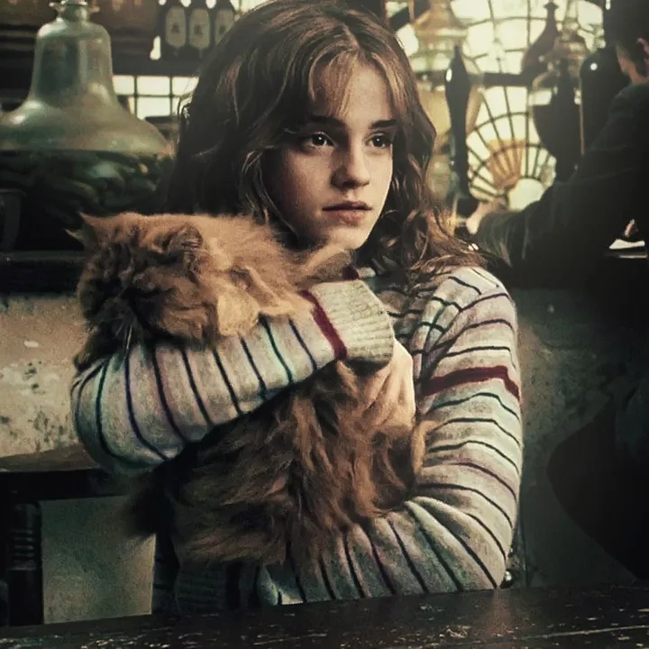 @xx.harrypotterpovs.xx