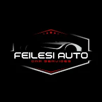 @feilesi0