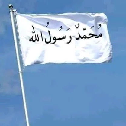 @tauhid3446