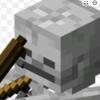 skellyluvssherself