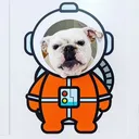 @thebabypancake