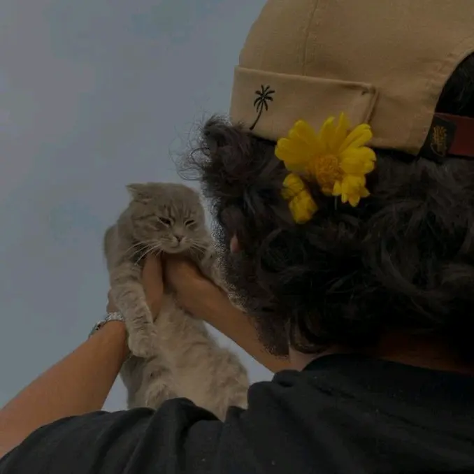🧸 𝙰𝚖𝚛𝚊𝚎𝚟 🧸 - suara asli