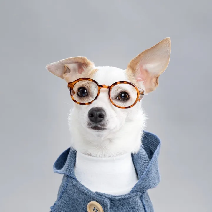 @baothechi