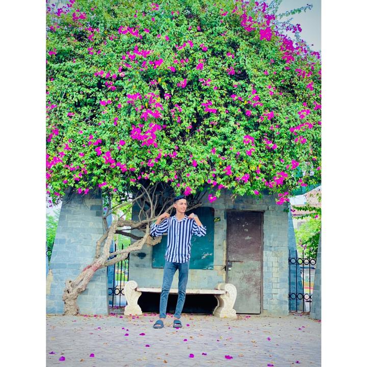 C H E E K U 🦋 - suara asli
