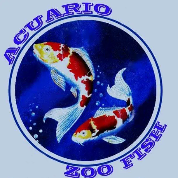 acuariozoofish