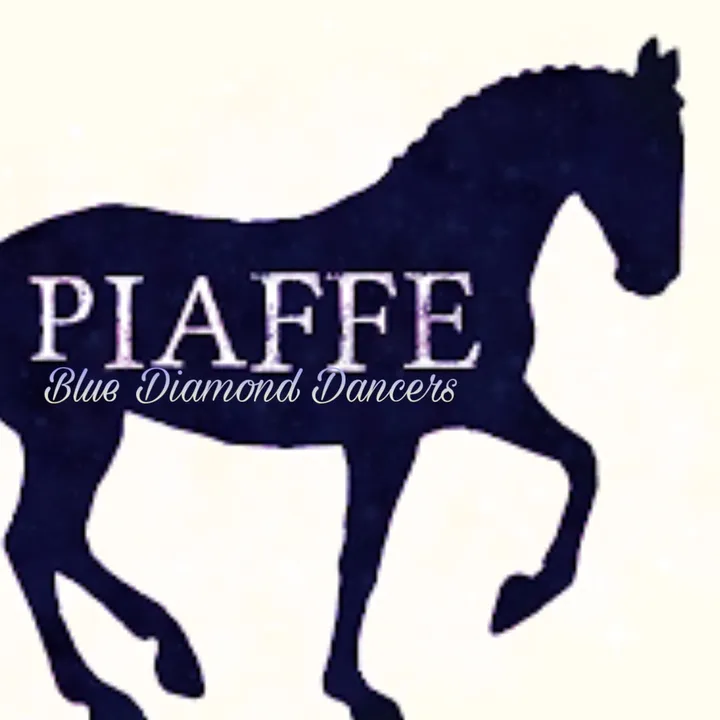@dressage_summercamp
