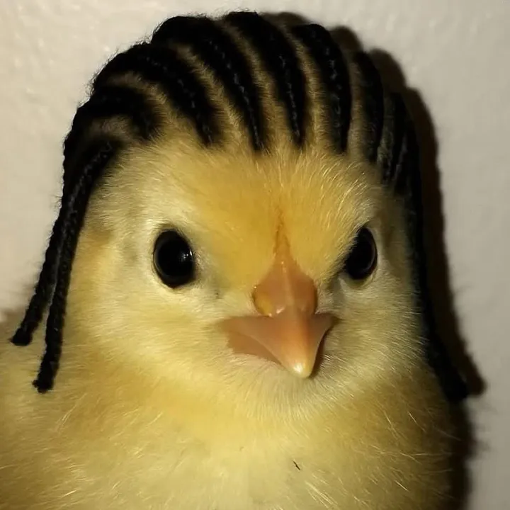 blatantlybrandn