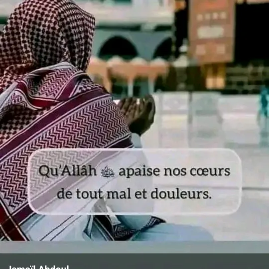 didjasanfo