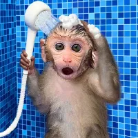 monkeydon07