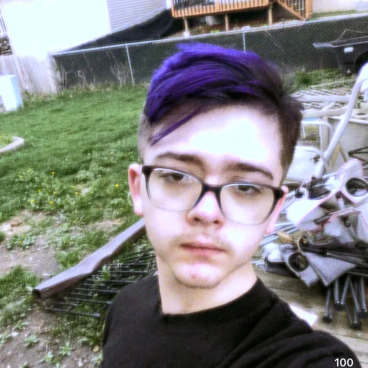 @cartooncatdbv2