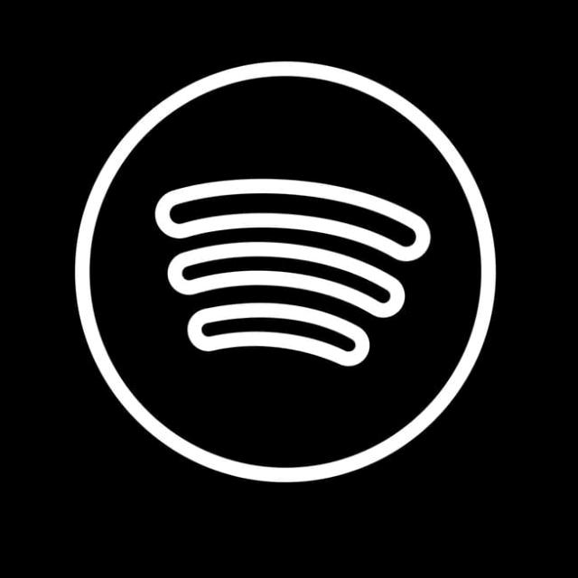 Spotify - suara asli