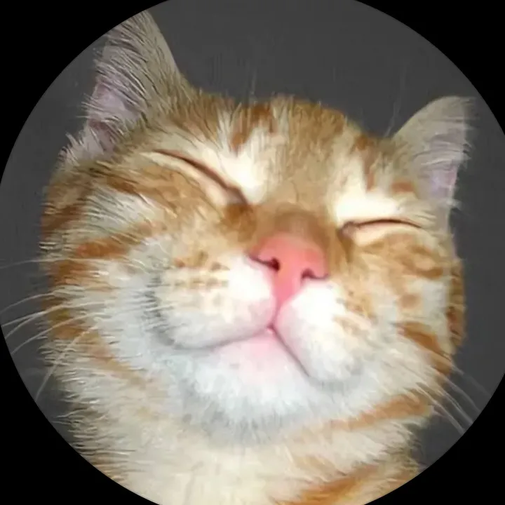 jaycoblawyer7