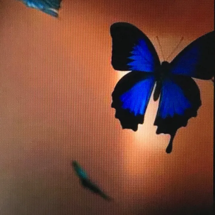 @mjghyj3gj