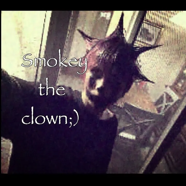 smokeytheclown.sc