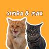 simbaandmaxthecats