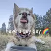 wanderwolfer