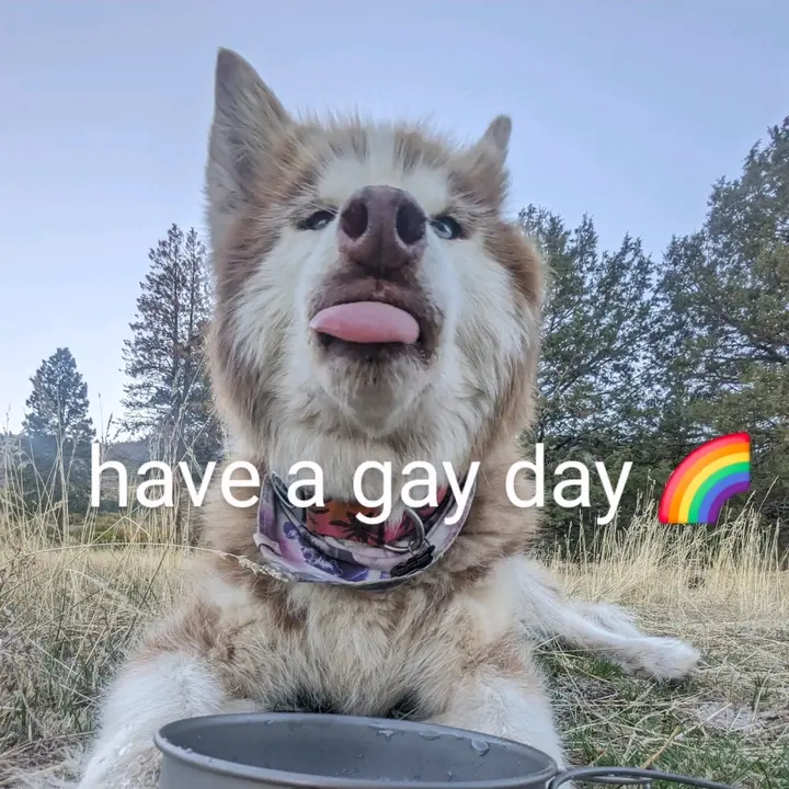 @wanderwolfer