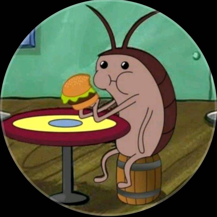 cockroach429