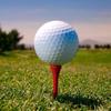 golf.cl1ps