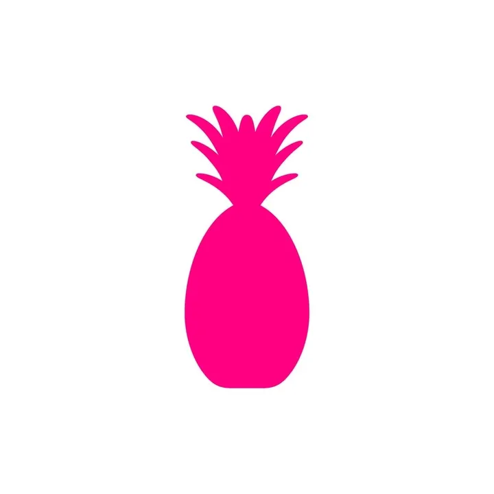 @pinaq_official
