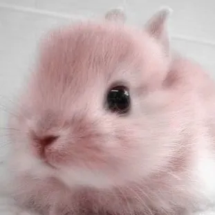 @luvforuuaaahh