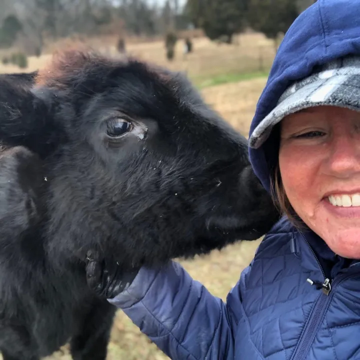 @easilydistractedby2cows