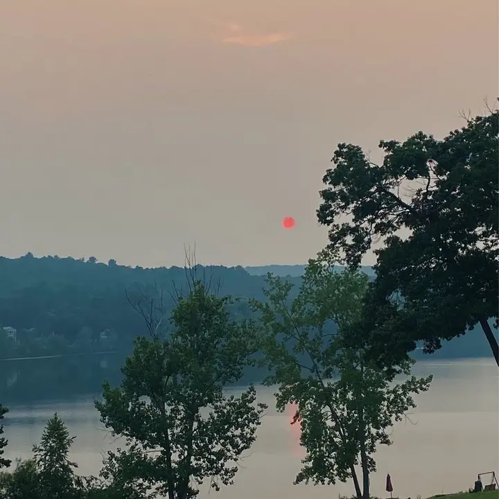 @mayadesnoyers
