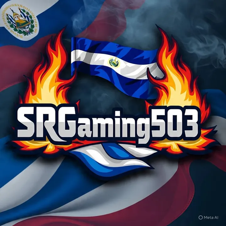 @srgaming503