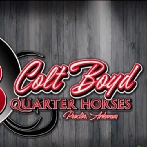@coltboydquarterhorses